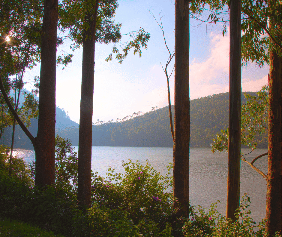 Mattupetty Dam